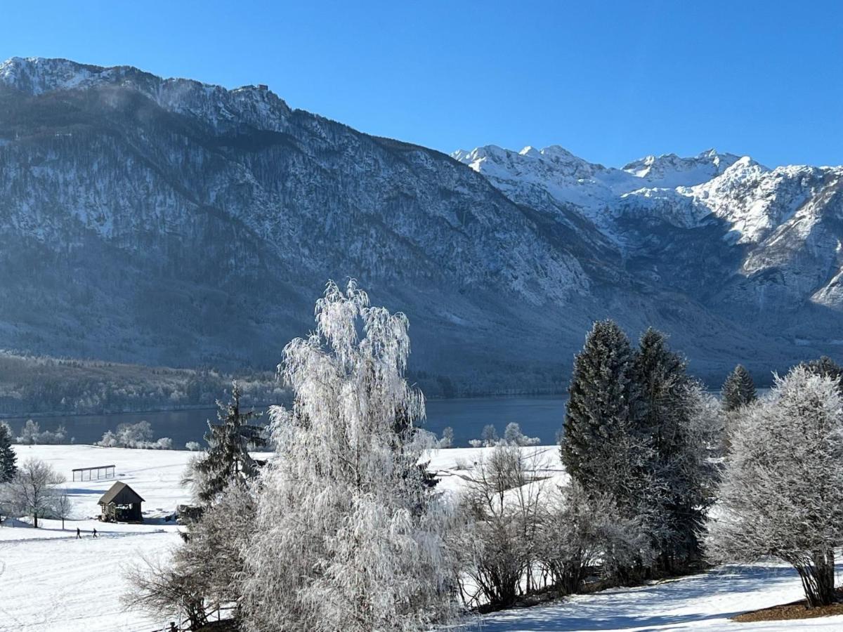 Gloria Holiday - Apartment Bohinj Exteriér fotografie